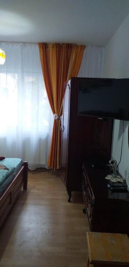 Apartament Aurora Слэник-Молдова Экстерьер фото