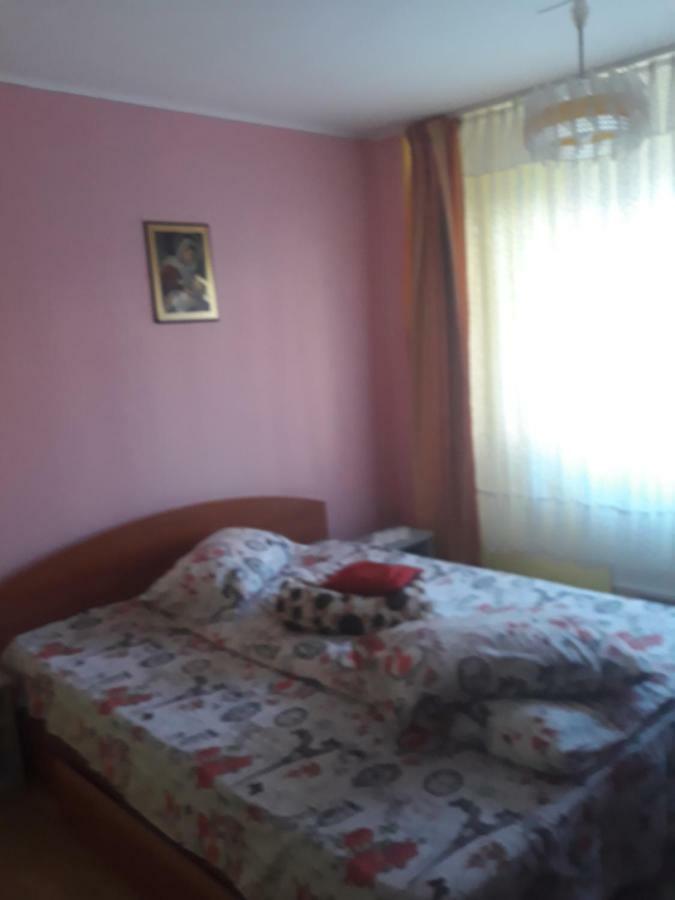 Apartament Aurora Слэник-Молдова Экстерьер фото
